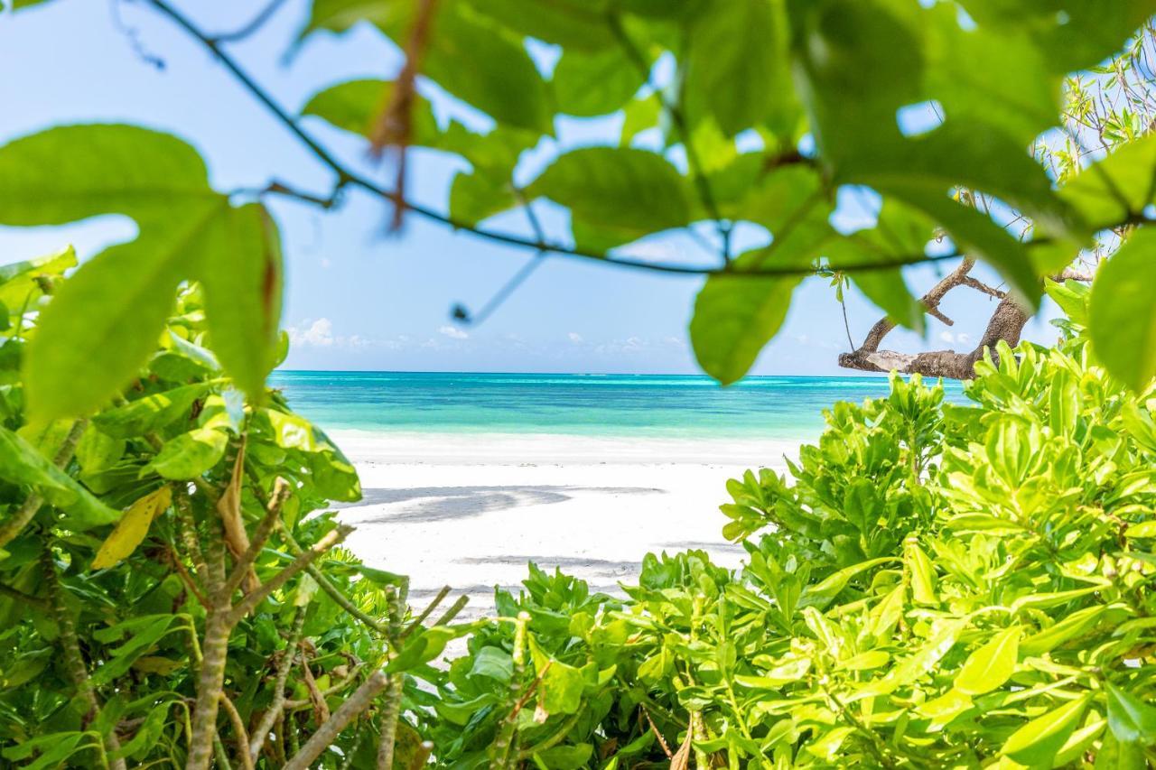 Surfescape Zanzibar Appartement Kiwengwa  Buitenkant foto