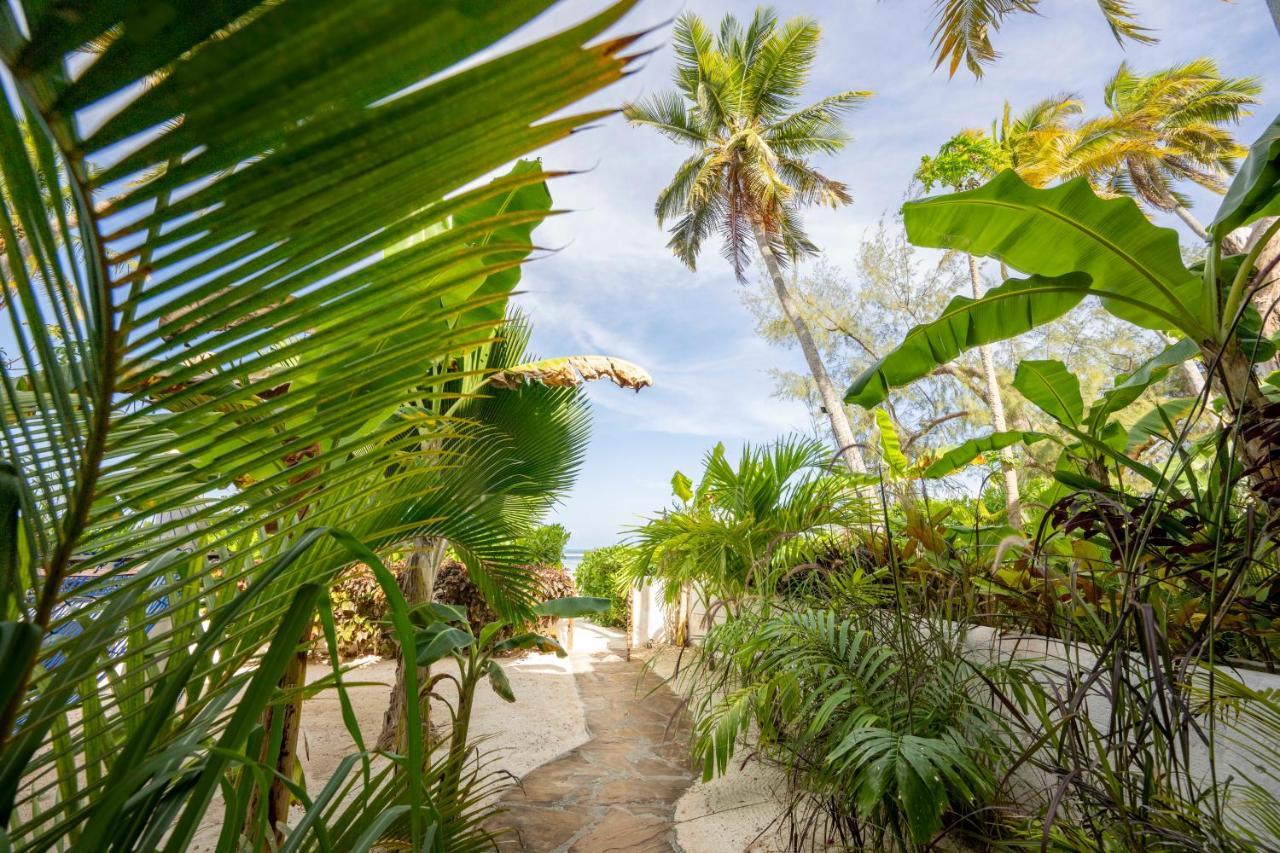 Surfescape Zanzibar Appartement Kiwengwa  Buitenkant foto
